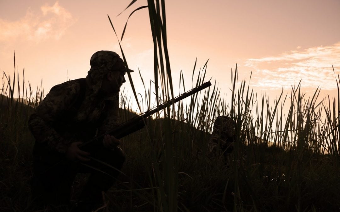 Wild Game & Smoking Chips Flavor Pairing Guide Wildwood Grilling