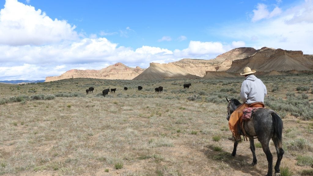 Modern Day Cowboys of The Wild Colorado Desert
